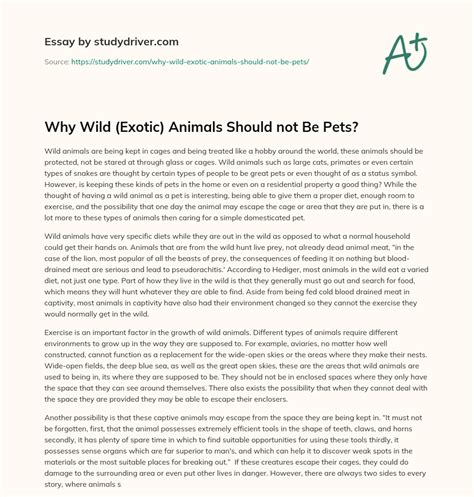 Why exotic animals should not be pets essay: Should Exotic Animals Be Kept  As Pets Essay - Words | Studymode