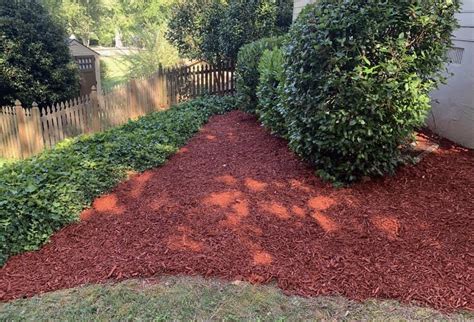 why georgia pine straw landscaping?