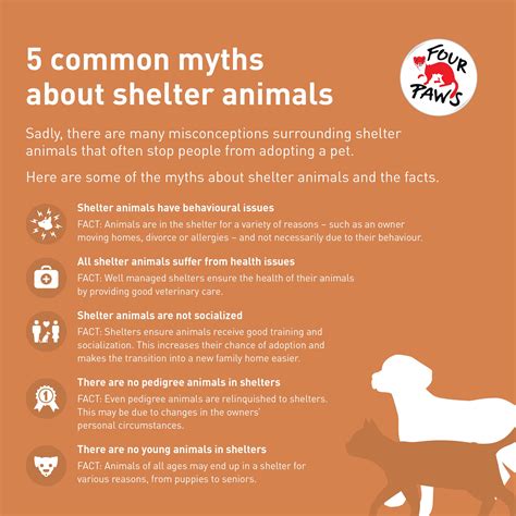 Why Are Animal Shelters Important Pet Reader Animals With Their Shelters - Animals With Their Shelters