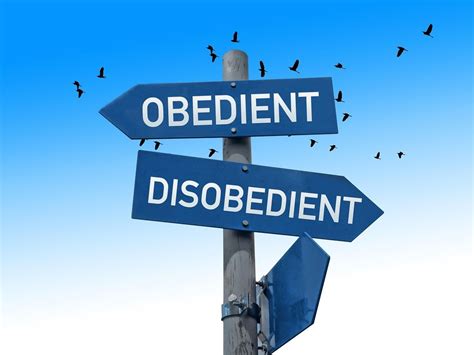 Why Are Humans Obedient