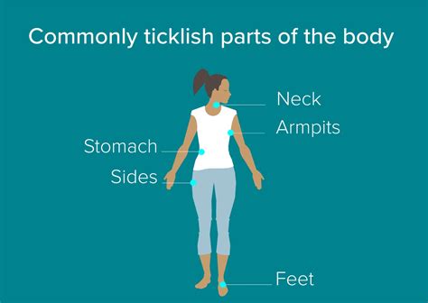 Why Are People Ticklish Healthline Tickle Science - Tickle Science