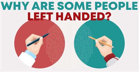 Why Are Some People Left Handed Science Has Left Handed Science - Left Handed Science