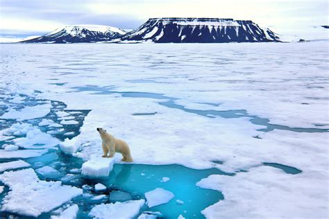why are the ice caps melting the dangers of global