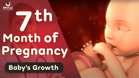 why baby movement is more in 7th month