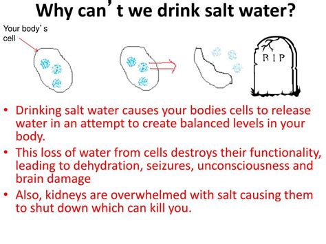 Why Can T We Drink Salt Water