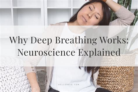 Why Deep Breathing Works Neuroscience Explained Hello Brio Science Behind Deep Breathing - Science Behind Deep Breathing