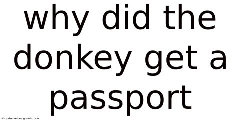 Why Did Donkey Get A Passport