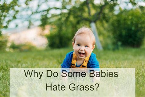 Why Do Babies Avoid Grass