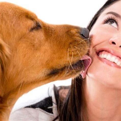 why do dogs give humans kisses good