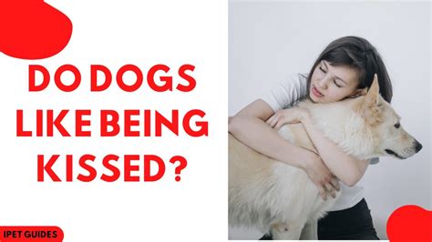why do dogs like being <a href="https://modernalternativemama.com/wp-content/category/what-does/where-did-you-learn-spanish-translation-google.php">visit web page</a> like