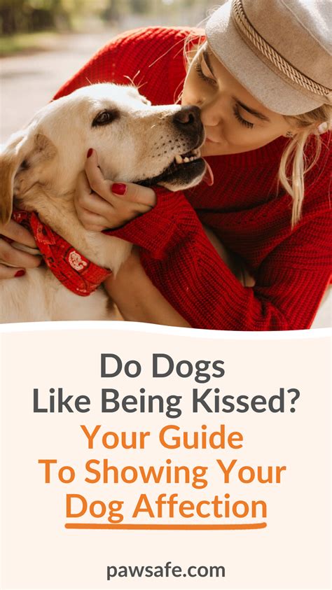 why do dogs like being kissed