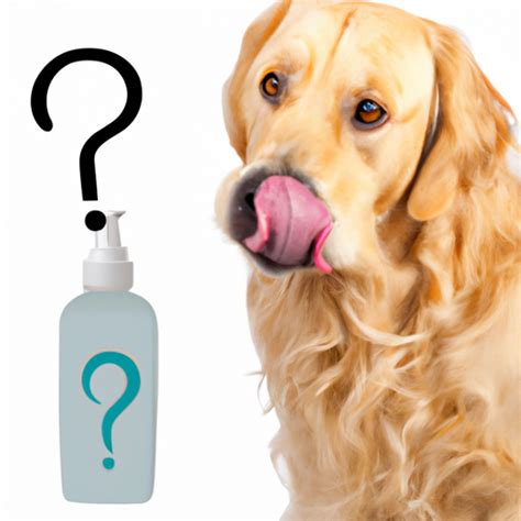 why do dogs like to lick lotion