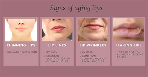 why do lips get thinner as we age