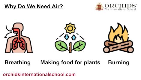 Why Do We Need Air