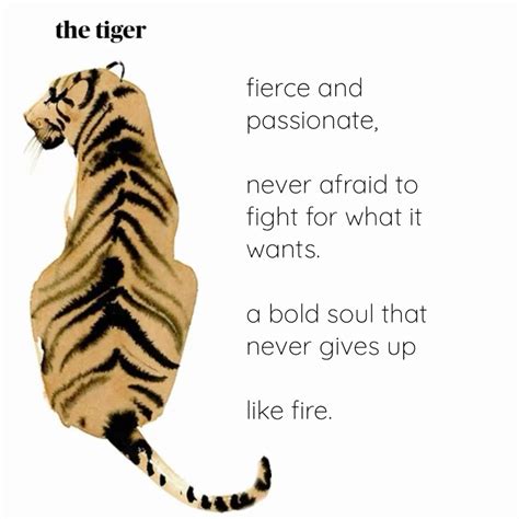 Why Does The Tiger Ignore The Visitors