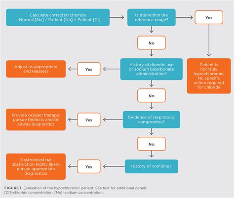 Why Does Vomiting Cause Hypochloremia Ruminants