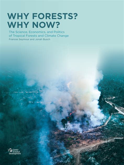 Why Forests Why Now The Science Economics And Pol