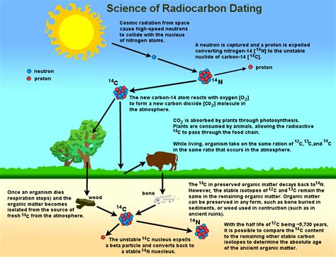 why is carbon useful in absolute dating