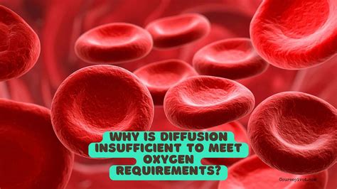 Why Is Diffusion Insufficient To Meet The Oxygen