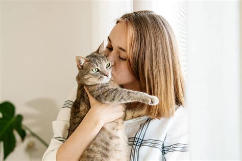 why is my cat kissing me baby