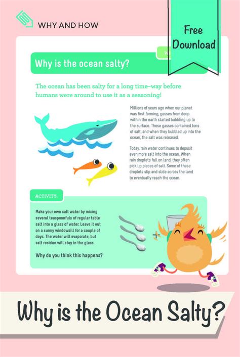 Why Is The Ocean Salty Worksheet Education Com Ocean Salinity Worksheet - Ocean Salinity Worksheet