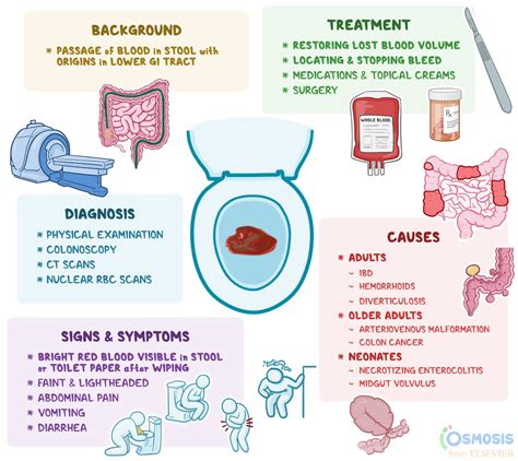 why it is bleeding while poop