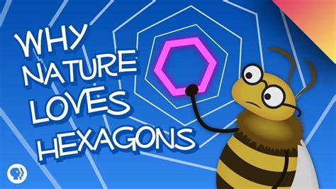Why Nature Loves Hexagons Featuring Infinite Series Kidpid Hexagon Craft For Preschoolers - Hexagon Craft For Preschoolers
