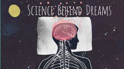 why we dream the science creativity and transform