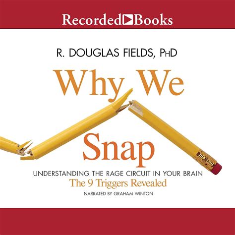Why We Snap Understanding The Rage Circuit In You