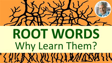 Why Word Roots Matter To A Fifth Grader Second Grade Root Words - Second Grade Root Words
