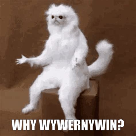 Read Why Why God Why 
