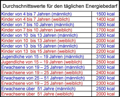 wie viel energie braucht man am tag