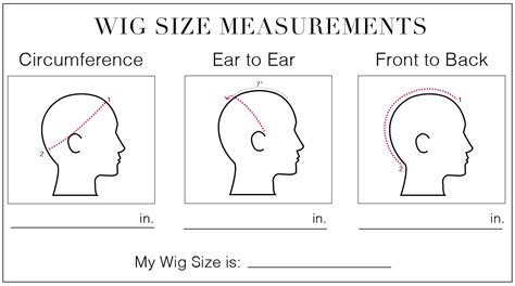 wig measurements