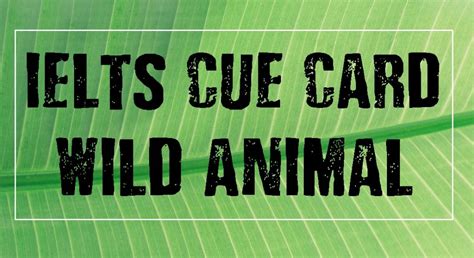 wild animal cue card