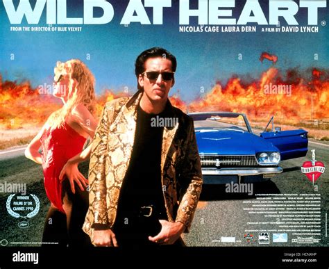 Wild At Heart