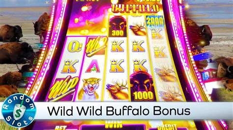 wild buffalo slot machine Schweizer Online Casino