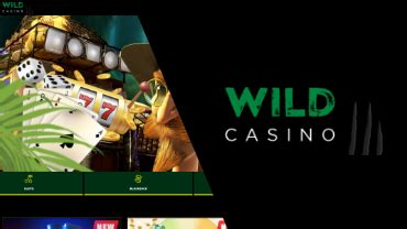 wild casino ag login azun france