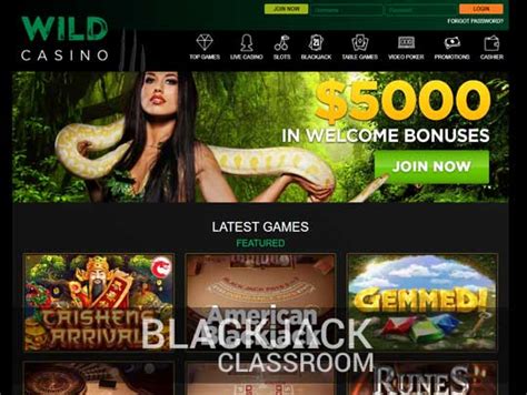 wild casino blackjack owoo belgium