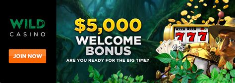 wild casino bonus codes 2019 Beste Online Casino Bonus 2023
