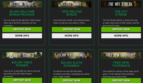 wild casino bonus codes 2019 kzzq belgium