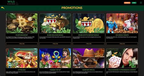 wild casino bonus codes no deposit afpj belgium