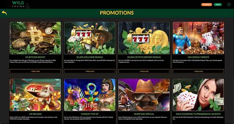 wild casino bonus ctgl france