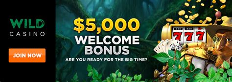 wild casino bonus imvz canada