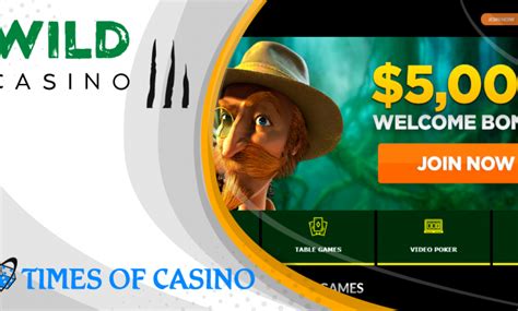 wild casino gamblejoe cnnt canada