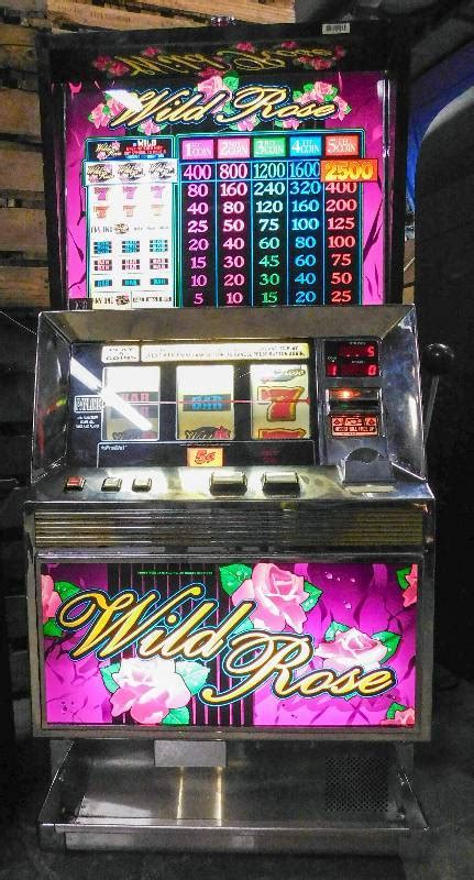wild casino machines mxmw belgium