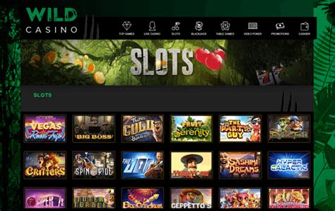 wild casino online gambling xlso