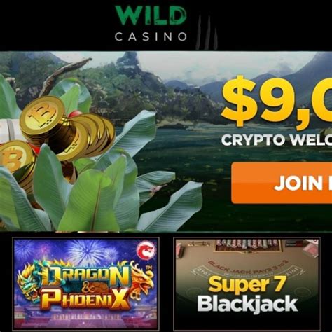 wild casino payout reviews/
