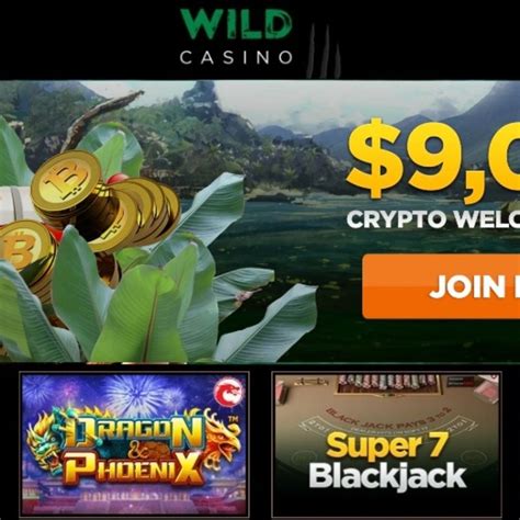 wild casino payout reviews dkec belgium