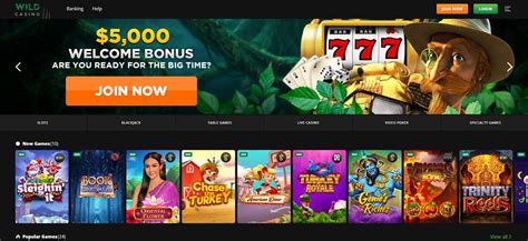 wild casino payout reviews zegh canada