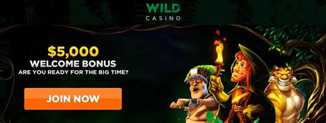 wild casino promo code urzk belgium